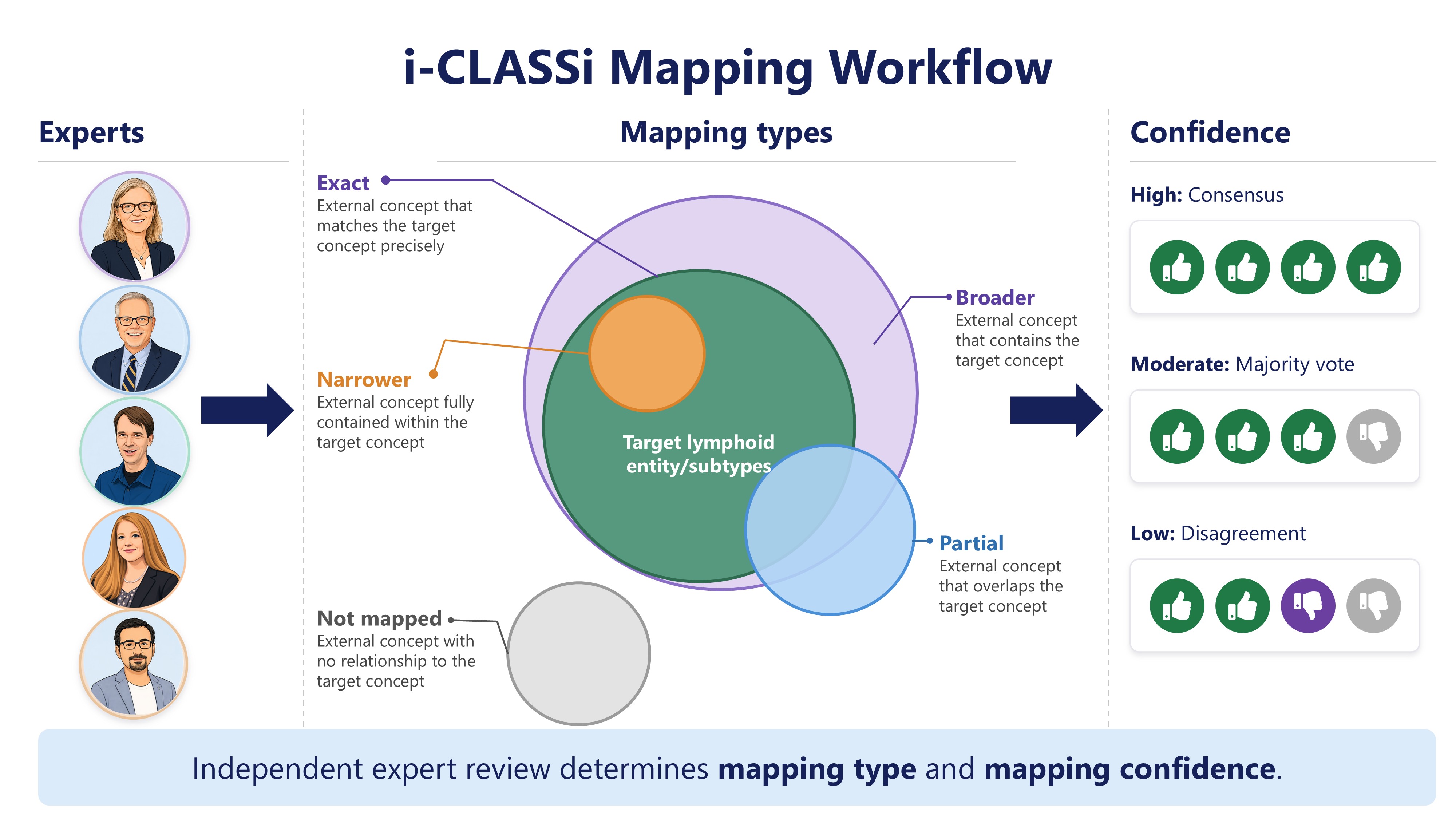 i-CLASSi mapping workflow showing expert review, mapping types, and confidence categories